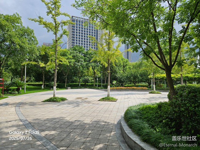 【夏日奇趣】青林灣公園