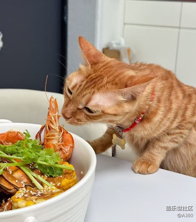 【鮮萃暑味】飯搭子