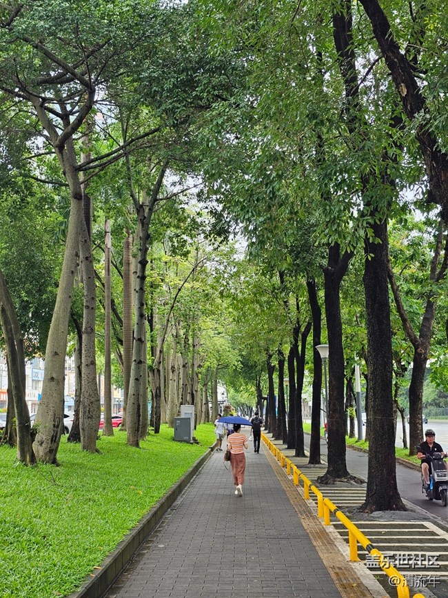 【七月敘事詩】美好時光