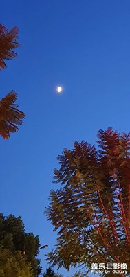 【用鏡頭安利一條街 】+漢安大道