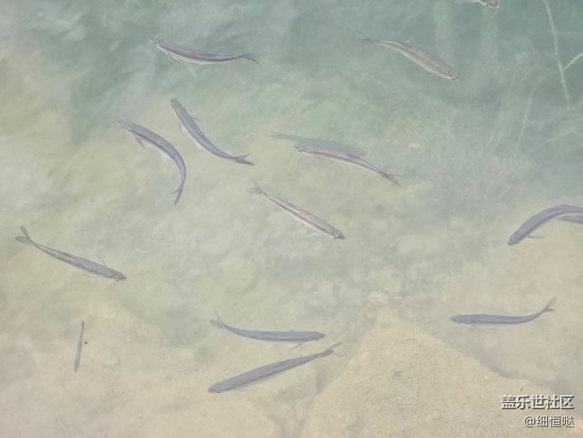 【7系列折疊品鑒會(huì)】無(wú)錫活動(dòng)回顧