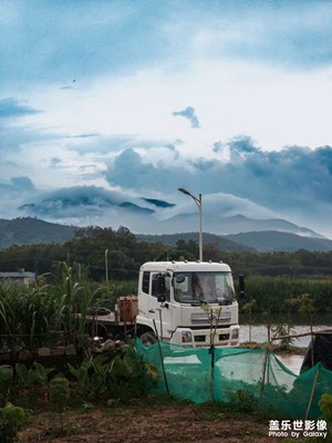 今日全球最佳攝影作品