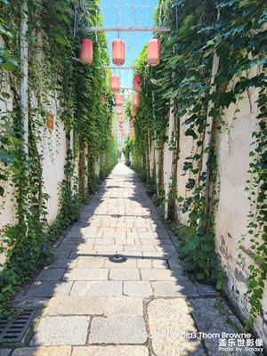 【用鏡頭安利一條街 】+常州青果巷