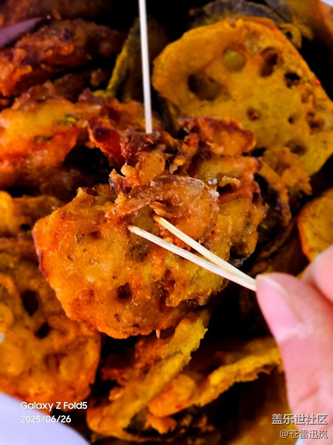 【美食分享】美味炸物