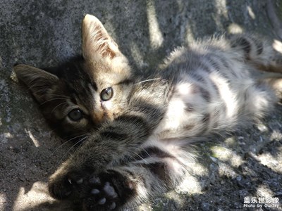 再?zèng)]人領(lǐng)養(yǎng)我都長大了?????