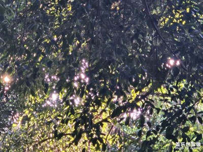 【用鏡頭安利一條街?】+?夏日美好