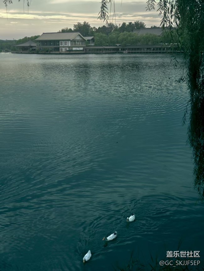 【云彩光影】城市邊角，藏著的浪漫劇場