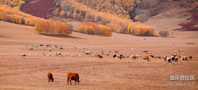 【浮光之間】在路上，撞見生活的多種模樣