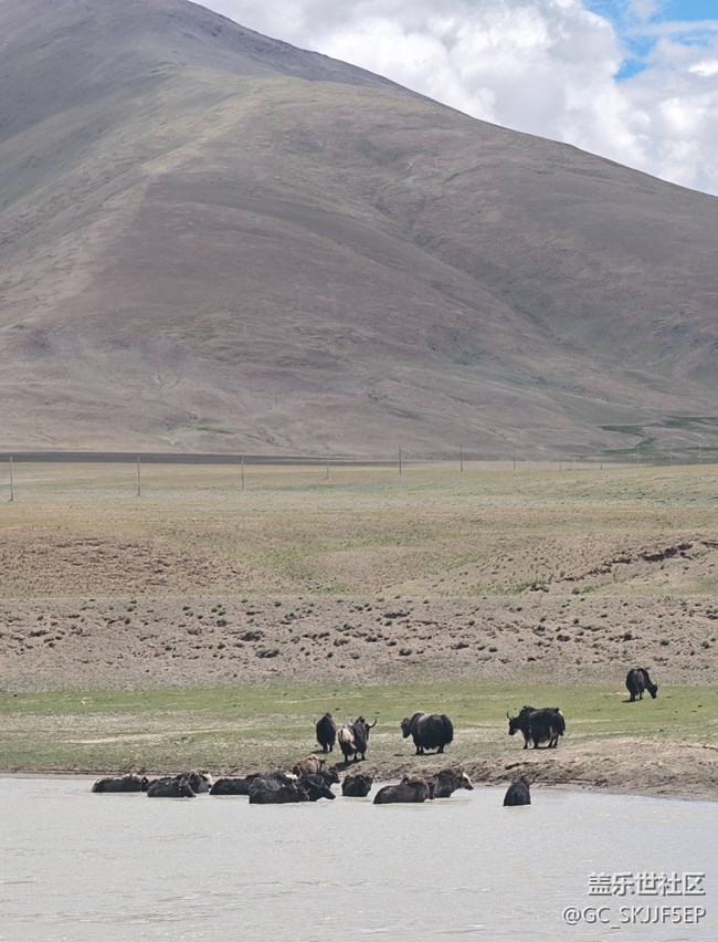 【浮光之間】在路上，撞見生活的多種模樣