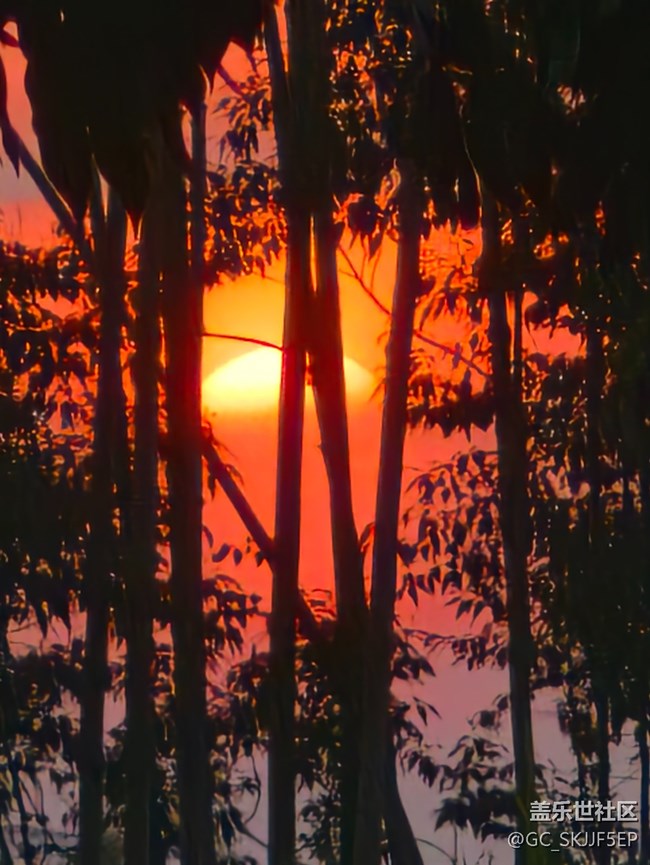 【浮光之間】生活拼圖里的詩意