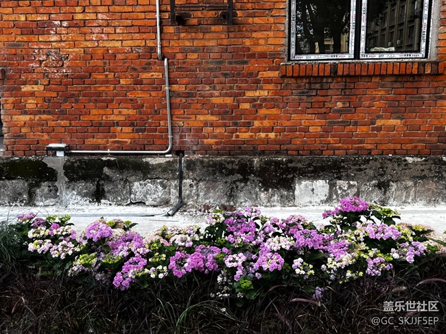 【浮光之間】生活拼圖里的詩意