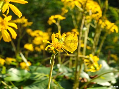 【拍有心動】+ 捕捉瞬間