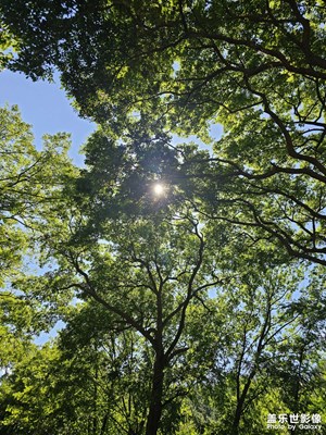 [拍有心動]盛夏之趣
