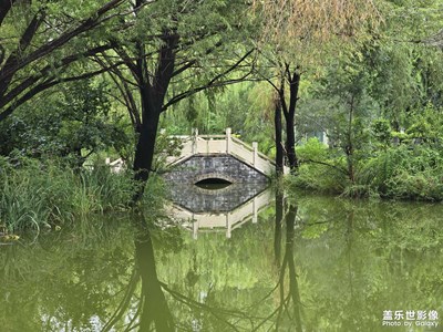 【拍有心動】雨后的植物園