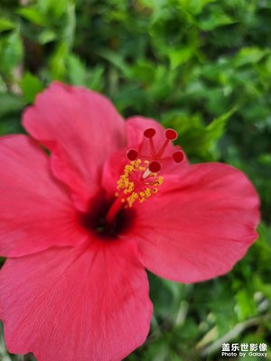 【拍有心動】心跳的感覺