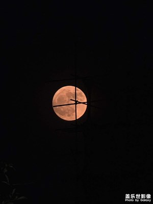 【拍有心動(dòng)】+ 即拍即有