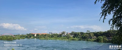 【拍有心動(dòng)】大灣區(qū)的生命之源 (2)