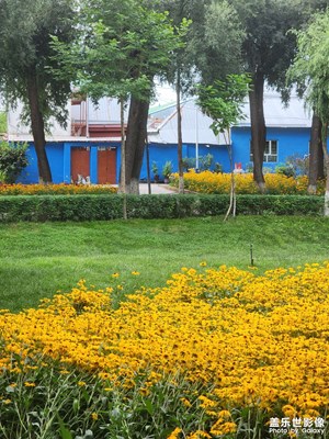 【拍有心動(dòng)】夏日繁花