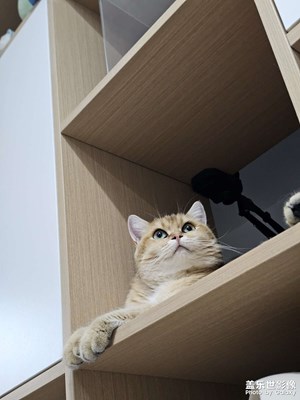 【拍有心動(dòng)】+ 毛茸茸的心動(dòng)