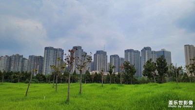 【拍有心動(dòng)】夏末風(fēng)景