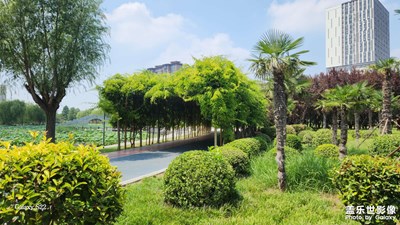 【拍有心動】+ 隨手一拍