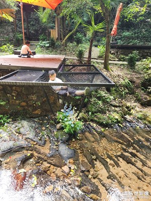 拍有心動(dòng)+桐廬琴谷