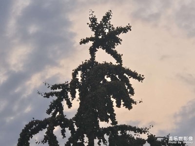 【拍有心動(dòng)】+?盛夏