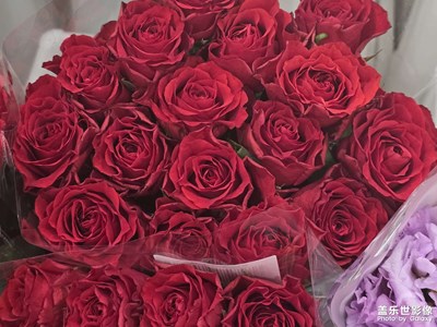 【拍有心動】+鮮花組合