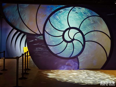 【拍有心動】+遇見海洋展