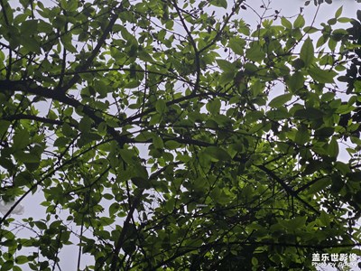 【拍有心動(dòng)】+?自然之美