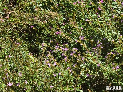 【拍有心動】+?生活影像