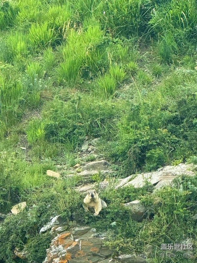 浮光之間+川西的風(fēng)光