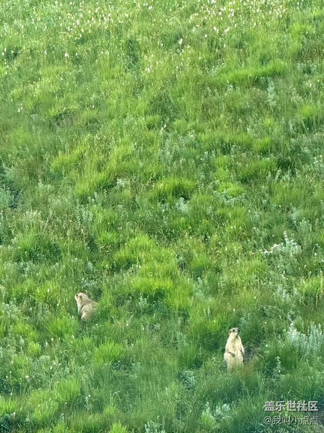 浮光之間+川西的風(fēng)光