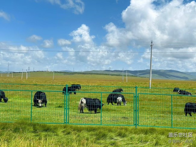 浮光之間+川西的風(fēng)光