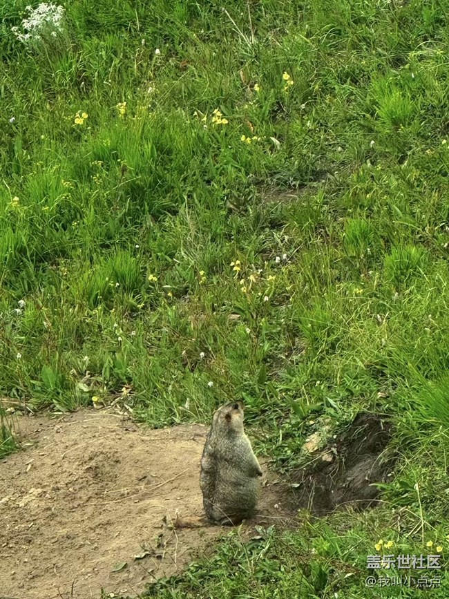 浮光之間+川西的風(fēng)光