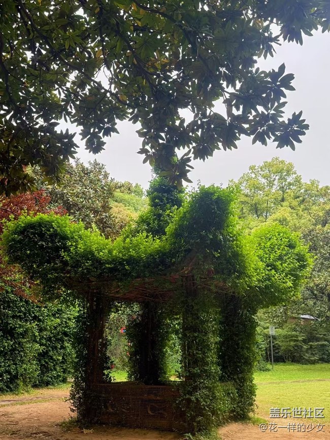 【浮光之間】+ 長(zhǎng)沙溜溜拍到一些