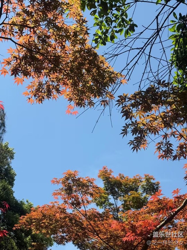 【浮光之間】+ 長(zhǎng)沙溜溜拍到一些