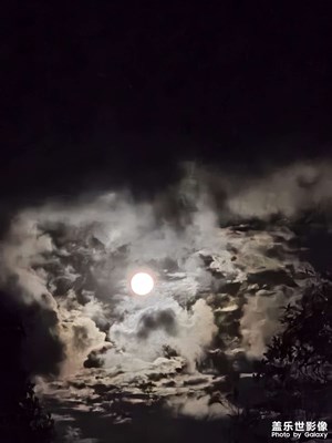 [抬起頭的視界]觀天