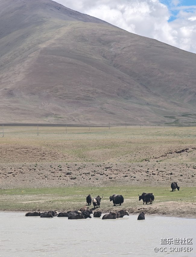 【如青春一般的盛夏】鏡頭里的天地長詩