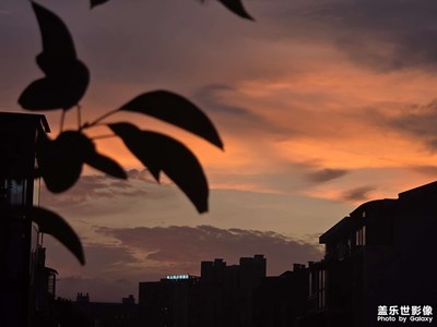 【抬起頭的視界】＋夜空