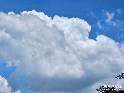 【抬起頭的視界】抬頭見云