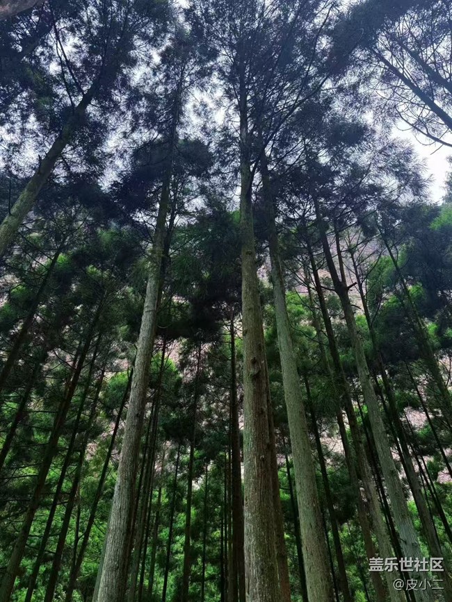 【鵬城暑色】看風景