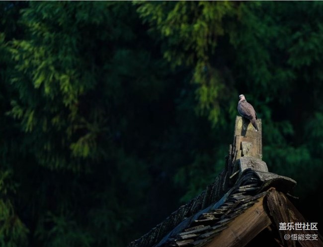 【鵬城暑色】臨近秋天