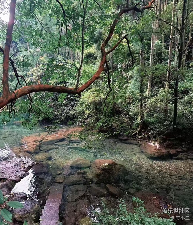【鵬城暑色】看風景