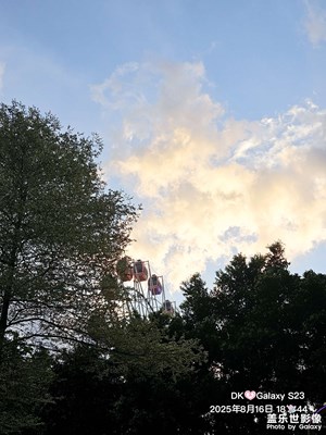 【抬起頭的視界】+ 仰拍