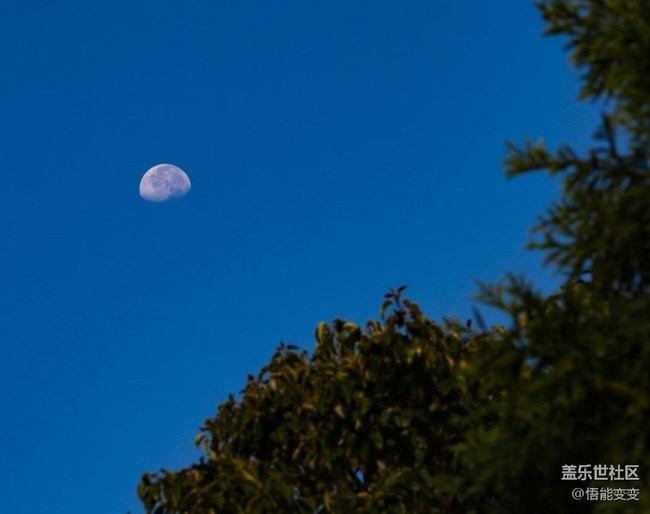 【鵬城暑色】臨近秋天