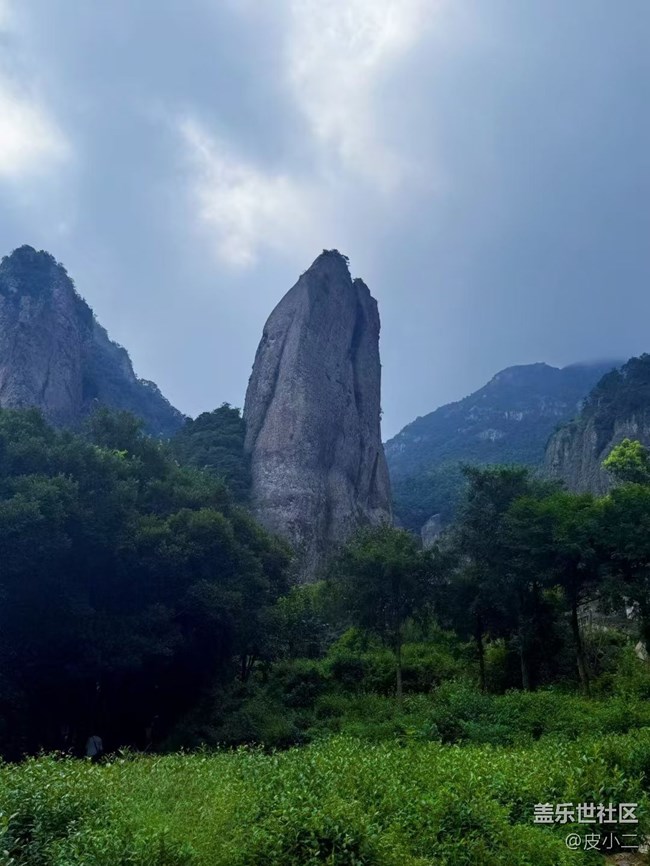 【鵬城暑色】看風景