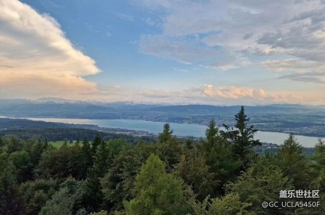 【鵬城暑色】慵懶的午后