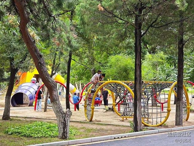 戴上Galaxy Watch8，走遍天下都不怕