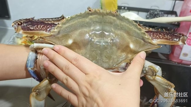 【即食滿足】螃蟹宴